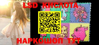 спиды Обь