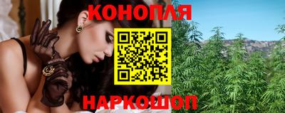 спиды Обь