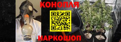 спиды Обь