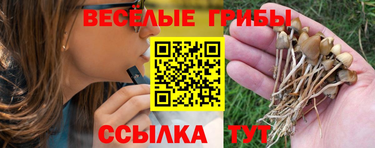 где продают   Галлюциногенные грибы мицелий  Вход с VPN  Рубцовск 